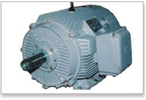 Increased Safety Motors from Kirloskar